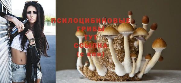 мяу мяу мука Аркадак