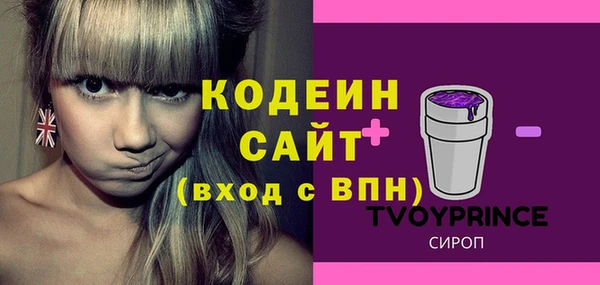 хмурый Арсеньев