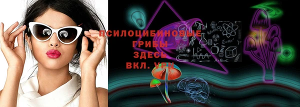 мяу мяу мука Аркадак