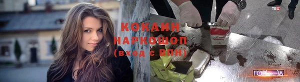 хмурый Арсеньев