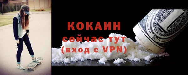 хмурый Арсеньев