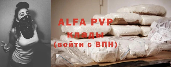 хмурый Арсеньев
