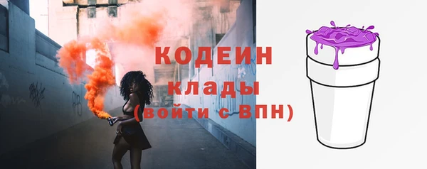 хмурый Арсеньев