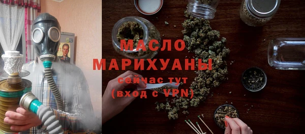 хмурый Арсеньев