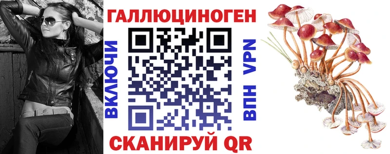 Псилоцибиновые грибы прущие грибы Купить где Краснозаводск